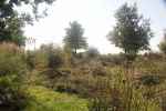 bloemenweide-gemaaid