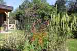 bloemenput-2