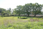 boomgaard