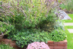 border_na_3maanden