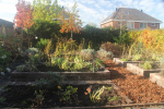 kloostertuin2