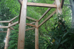 Gebogen pergola