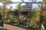 kloostertuin