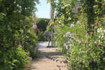 pergola-tuin2
