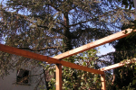 Pergola van modiwood