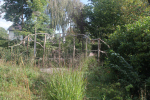 plantenklimwand-van-rhododendron-takken