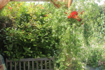 veranda-met-dualkanaalplaatoverkapping2