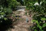 flagstones-met-beplanting-in-aanleg