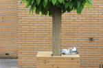 zitelement_onder_boom2