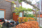 minituin_met_pergola_el
