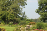 Vijver in landschapstuin