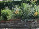 Film bloementuin