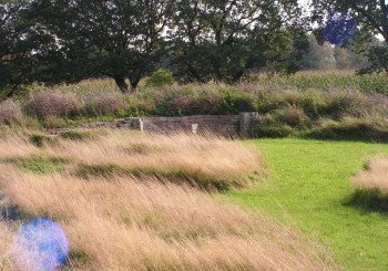 Workshop/ lezing‘Snoeien en biologisch tuinonderhoud’